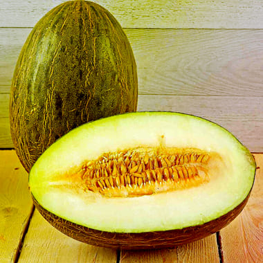 Melon Piel de Sapo